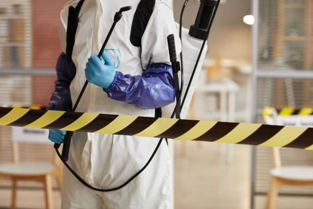 Professional Sewage Cleanup technician working in Caliente, CA